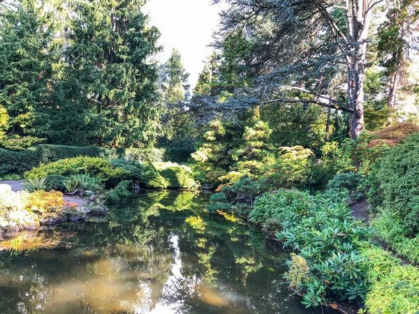 Kubota Garden Een Japanse Tuin Van 000 Wijk Rainier Beach — Stockfoto