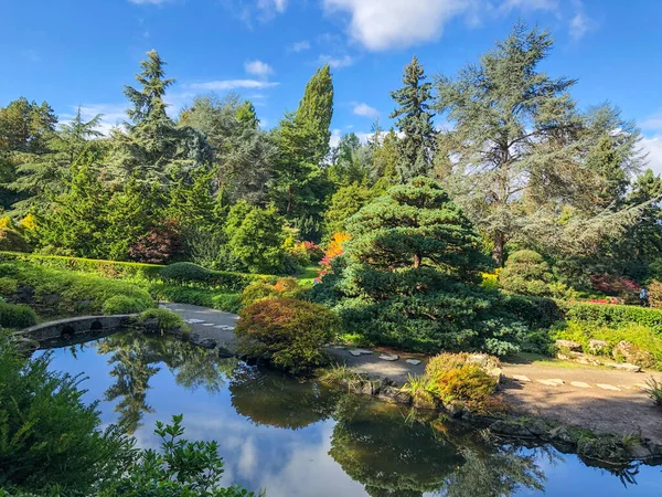 Kubota Garden Hektar Stor 81000 Japansk Trädgård Rainier Beach Seattle — Stockfoto