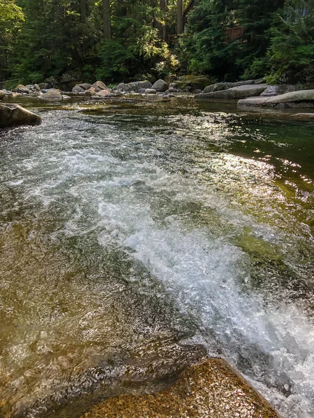 Franklin Falls Είναι Ένας Καταρράκτης Στο Νότιο Πιρούνι Του Ποταμού — Φωτογραφία Αρχείου