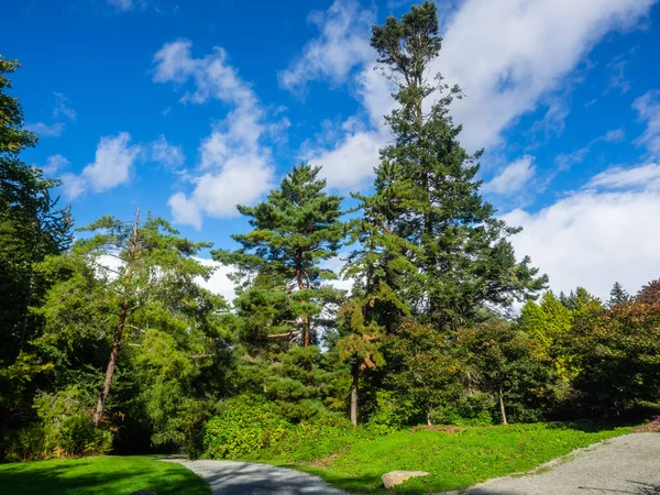 Kubota Garden Ist Ein 000 Hoher Japanischer Garten Stadtteil Rainier — Stockfoto