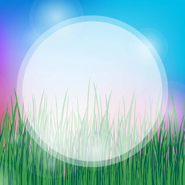 Fond Été Avec Ciel Bleu Herbe Verte Coucher Soleil — Image vectorielle