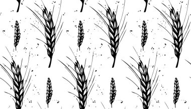 Damla ile seamless modeli çavdar, arpa ve buğday. Siyah ve beyaz el çekilmiş tasarımı için organik, fırın, tekstil