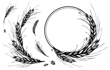 Rye, barley or wheat round frame or wreath on white background. Black and white hand drawn design for cooking, bakery, tags or labels. JPG include isolated path clipart