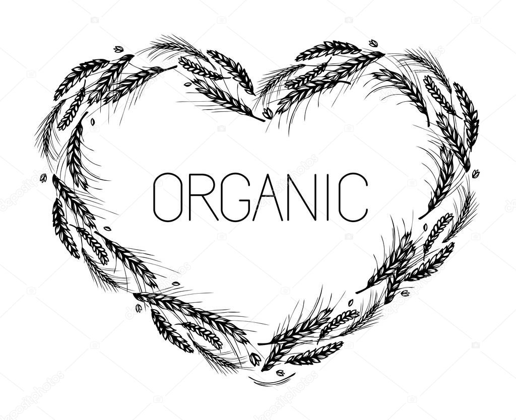 Rye, barley and wheat heart frame on white background. Love organic. Black and white hand drawn sketch for bakery, beer, flour labels design. JPG include isolated path
