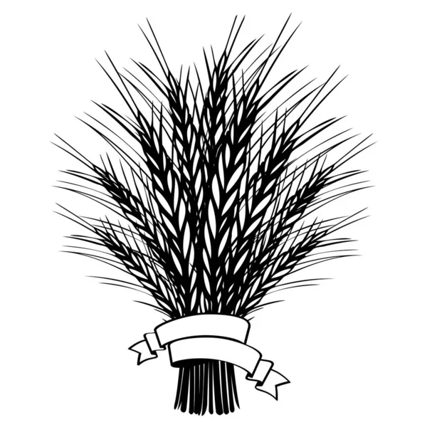 小麦，大麦谷物束 — 图库矢量图片