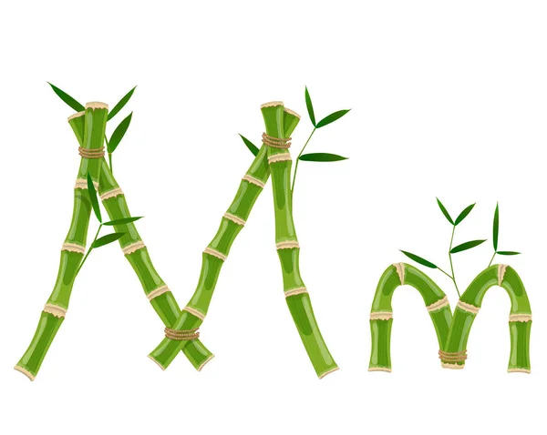 Bambou lettre M — Image vectorielle