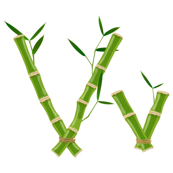 Bambou lettre V — Image vectorielle