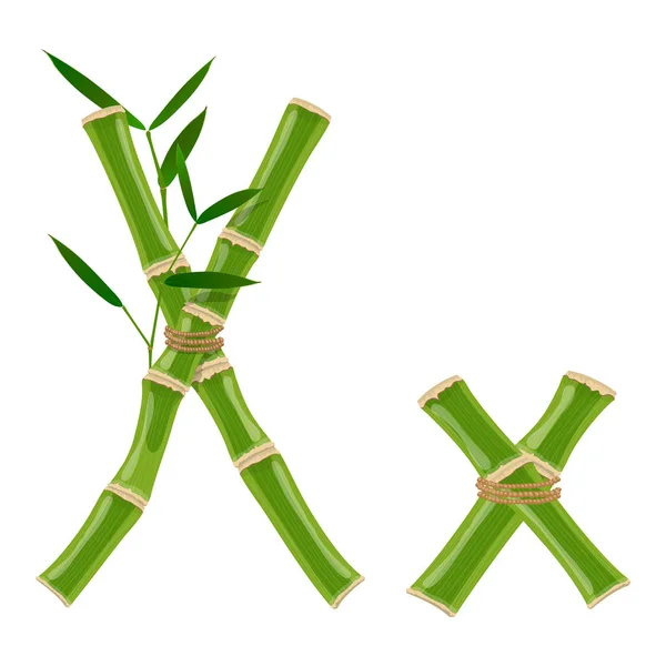 Bambou lettre X — Image vectorielle