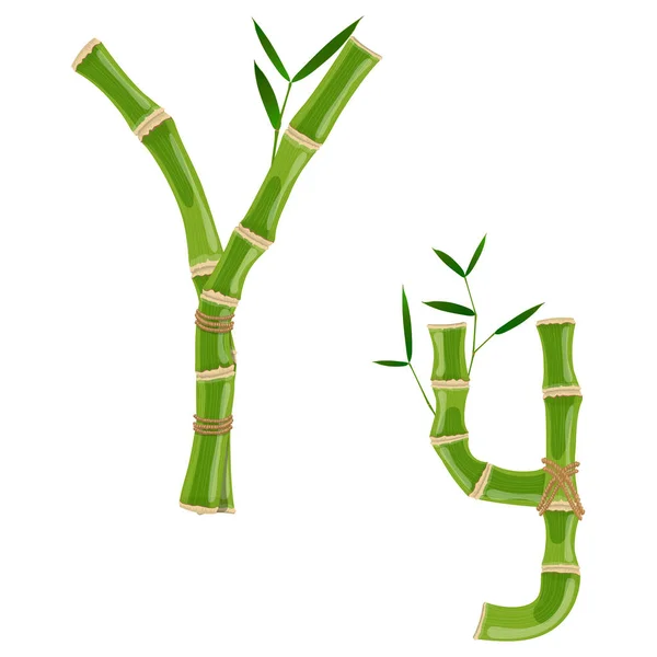 Bambou lettre Y — Image vectorielle