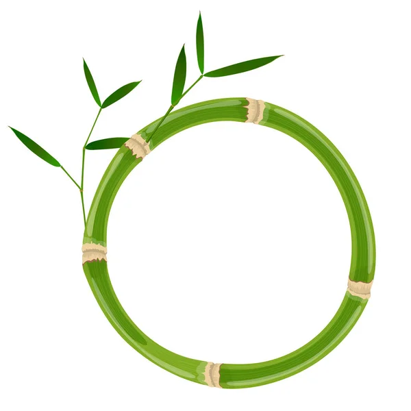 Cadre rond en bambou vert — Image vectorielle