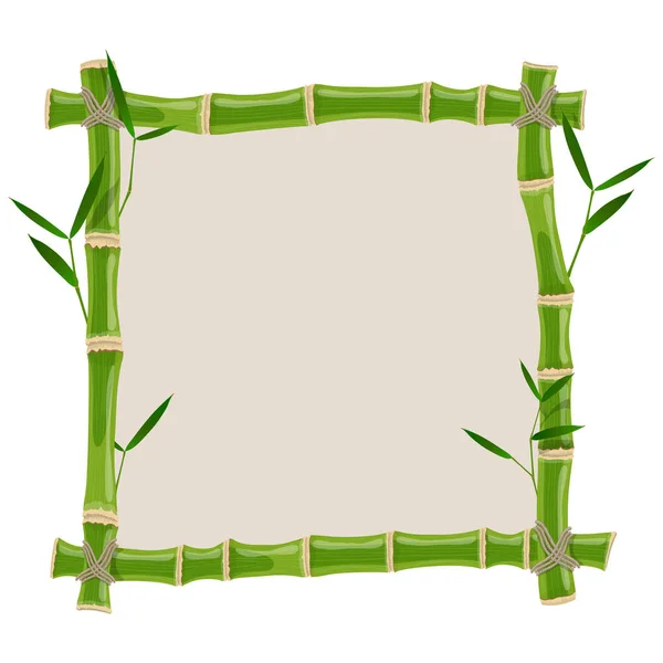 Groene bamboe frame — Stockvector