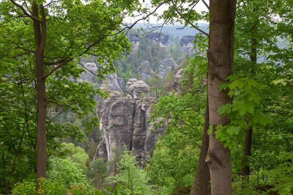 Park Narodowy Saskiej Szwajcarii Jest Park Narodowy Niemieckim Wolnego Państwa — Zdjęcie stockowe