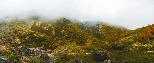 Осенний горный лес — стоковое фото