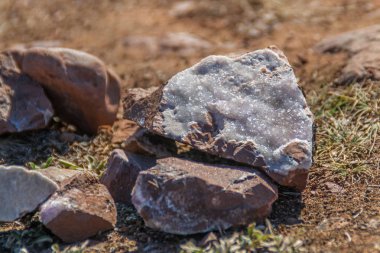 Beyaz deniz kıyısında Ametist fırçalar