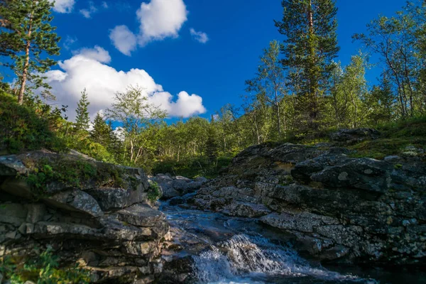 Kleiner Wasserfall auf einem Gebirgsbach zwischen den Felsen — Stockfoto