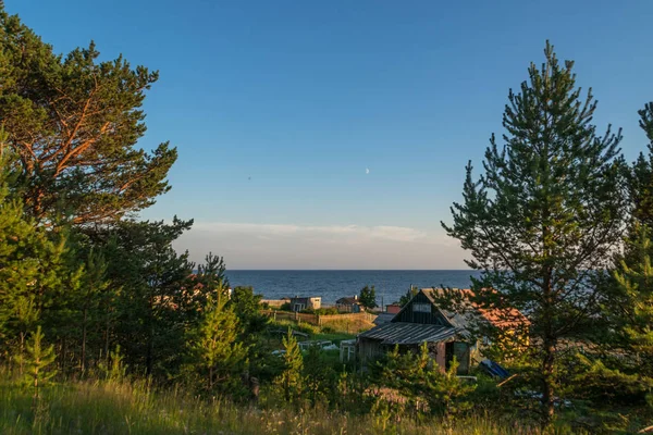 海边的房子和树木 — 图库照片