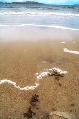 Barents Denizi sakin kumsalda