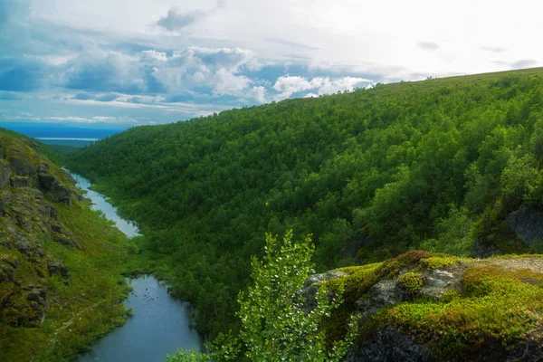 Modrá jezera v horském lese — Stock fotografie