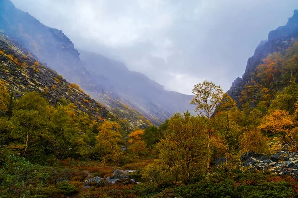 Podzimní horský Les — Stock fotografie