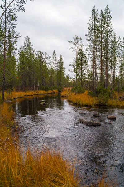 Lesní řeka v září — Stock fotografie
