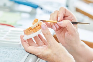 dental technician work. prosthesis production. Painting teeth clipart