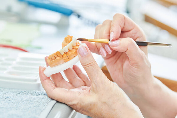 dental technician work. prosthesis production. Painting teeth