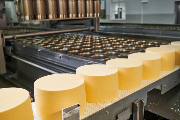 Produção industrial de queijo. indústria leiteira — Fotografia de Stock