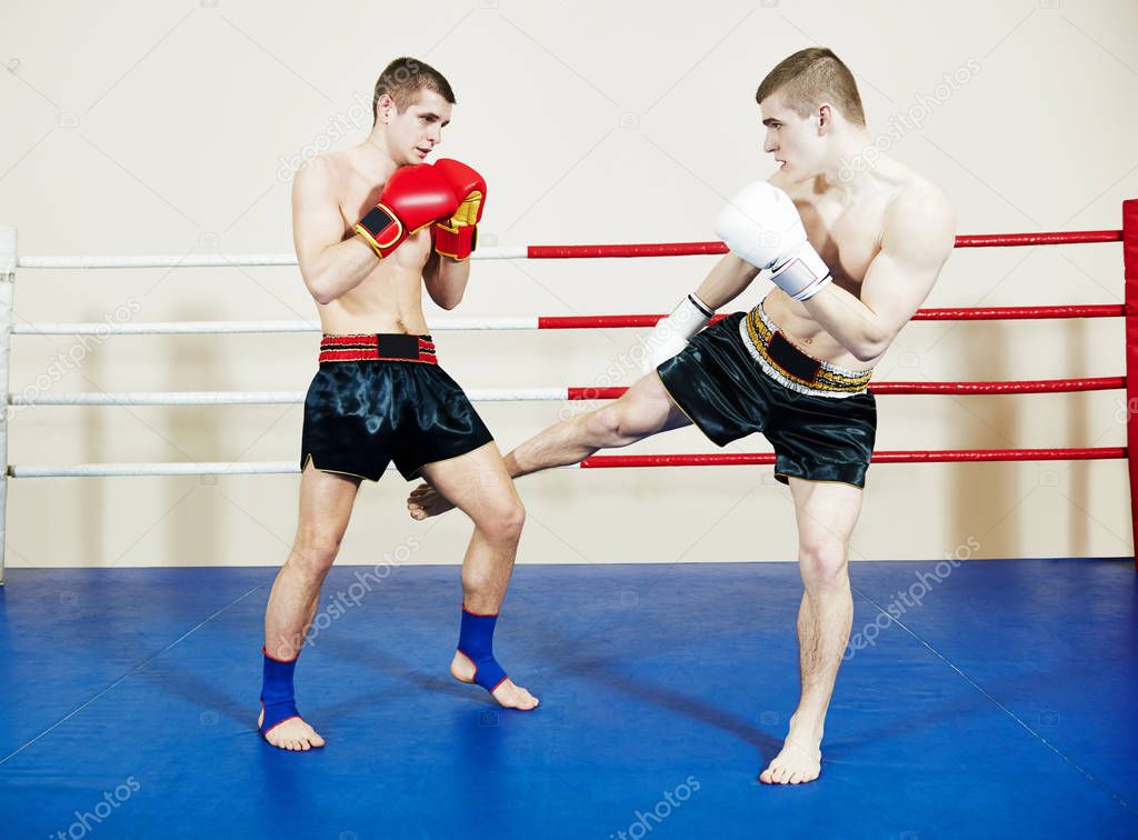 muai thai fighting boxers in ring