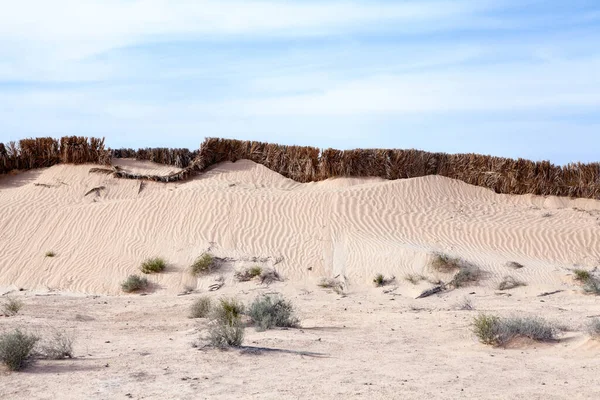 Roadside Soil Stabilization Protect Sand Desert Dry Screen Highway Tunisia — Stock Photo, Image