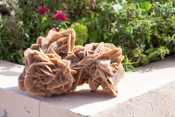 サハラの石膏砂漠は 贈り物やお土産としてチュニジアに上昇しました バラのような形成 クローズアップビュー — ストック写真