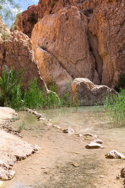Sahra Nın Sınırındaki Chebika Dağı Vahasında Temiz Suyun Içindeki Taşların — Stok fotoğraf