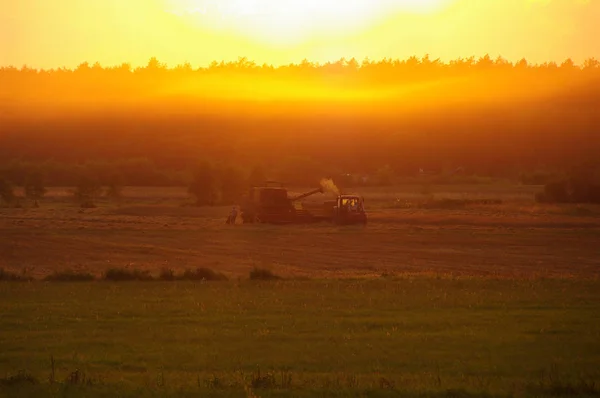 Harvester against hot orange sunset background