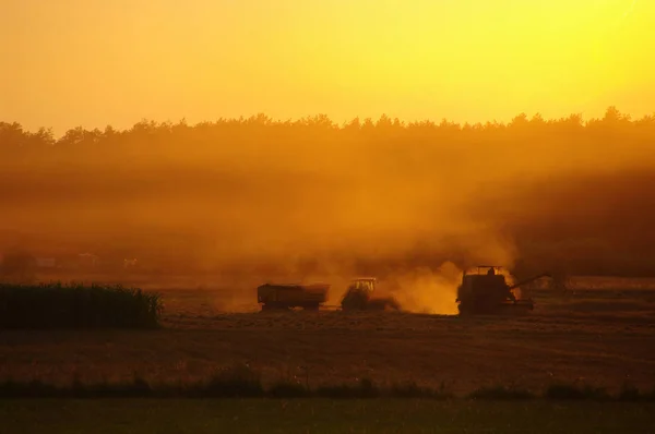 Harvester against hot orange sunset background