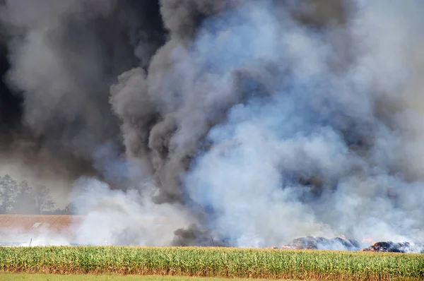 Bir Kırsal Çiftlik Büyük Bir Duman Bulutu Ateşle — Stok fotoğraf