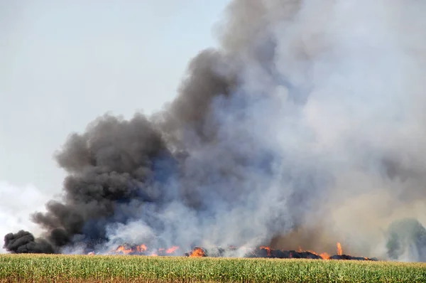 Bir Kırsal Çiftlik Büyük Bir Duman Bulutu Ateşle — Stok fotoğraf