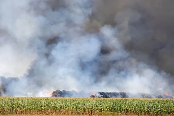 The fire with a big smoke cloud in a rural farm