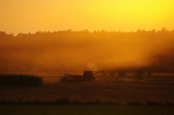 Erntemaschine Vor Heißem Orangefarbenem Sonnenuntergang Stockfoto