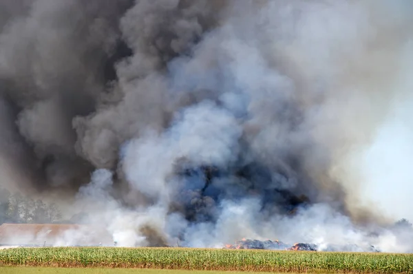 Het Vuur Met Een Grote Rook Wolk Een Landelijke Boerderij Rechtenvrije Stockfoto's