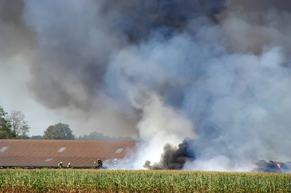 The fire with a big smoke cloud in a rural farm