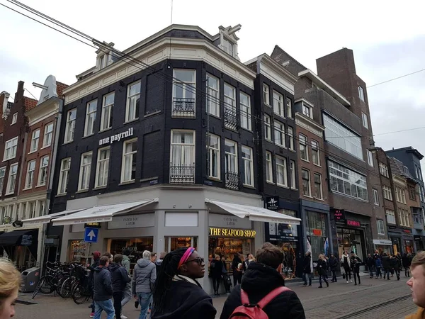 Amsterdam Nederlandene Januar 2019 Udsigt Byområdet Med Bygning Andre Detaljer - Stock-foto