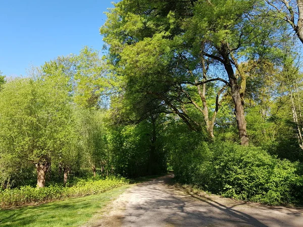 Fragmentos Naturaleza Primavera — Foto de Stock