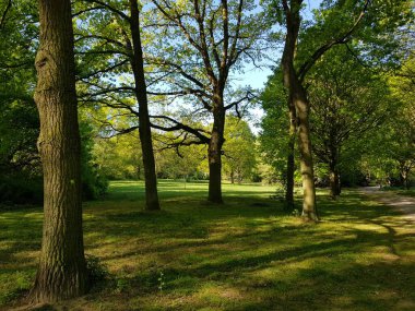 İlkbaharda doğanın parçaları 