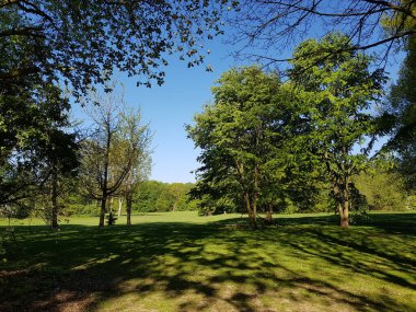 İlkbaharda doğanın parçaları 