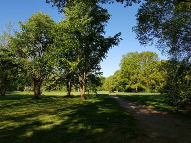 İlkbaharda doğanın parçaları 
