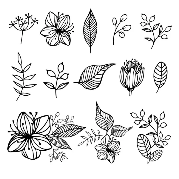 Ensemble de jolies fleurs, feuilles et baies dessinées à la main — Image vectorielle