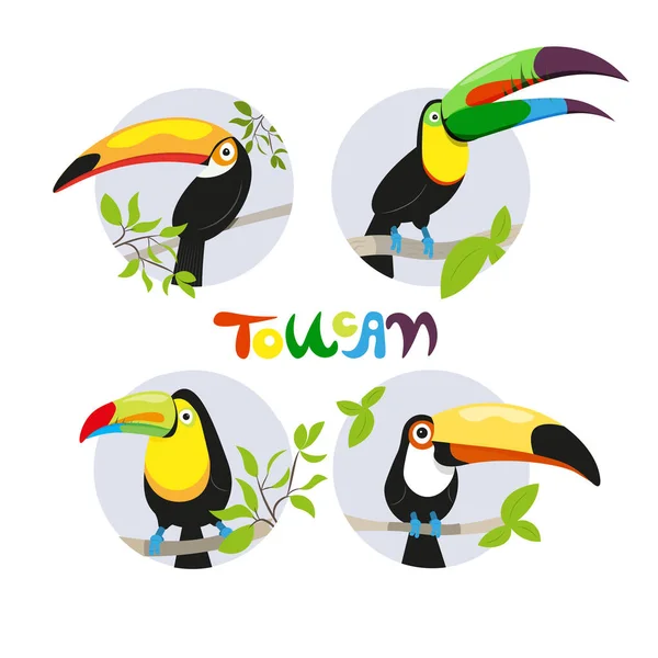 Ensemble d'oiseaux tropicaux colorés dans différents styles de conception toucan — Image vectorielle