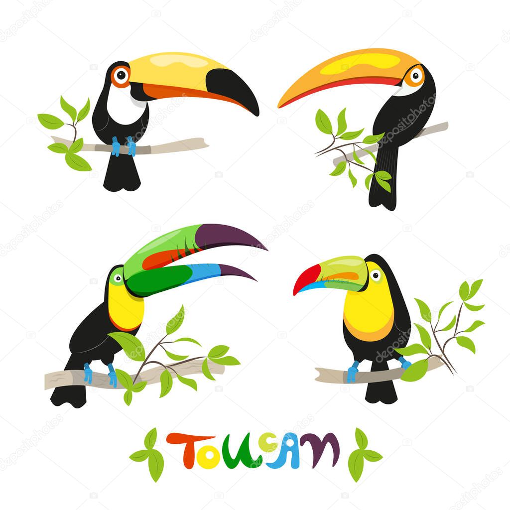Set of colorful tropical birds in different design styles - toucan
