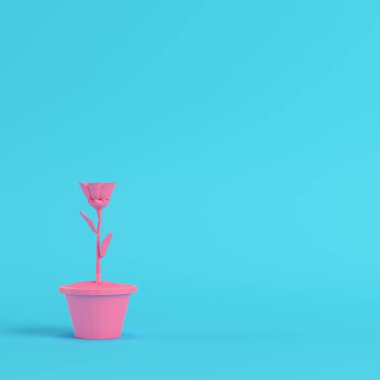 Pembe düşük poli çiçek parlak mavi arka plan pastel renkler üzerinde bir tencerede. Minimalizm kavramı. 3D render