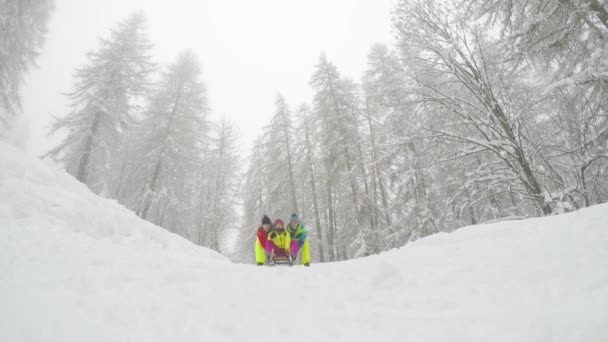 朋友们在雪地上玩着小雪橇 两个男人把一个女孩从山上推到雪橇上 一起享受雪的时光 友谊与冬季体育理念 — 图库视频影像