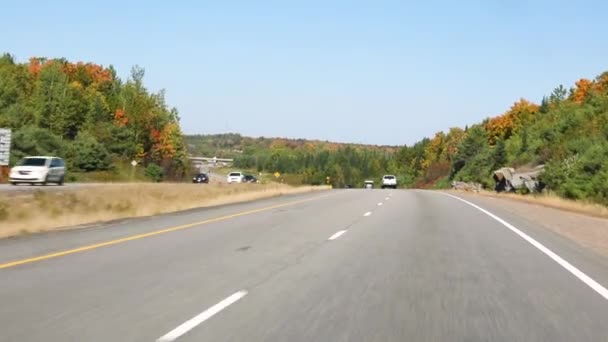秋天在美国高速公路上开着树 在加拿大安大略省的道路上的汽车 秋季季节的彩色枫树树 旅行和运输概念 — 图库视频影像